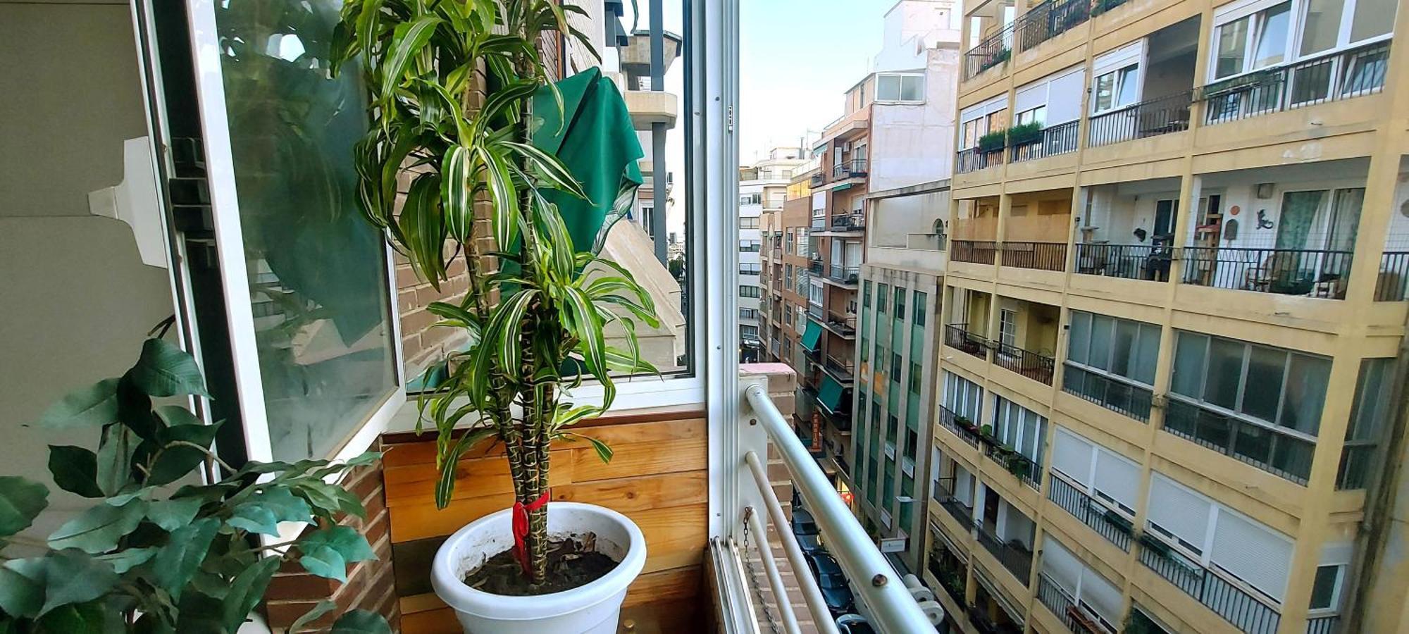 Modern Apartment In Alacant 60M² Wheelchair Accessible Alicante Exterior foto